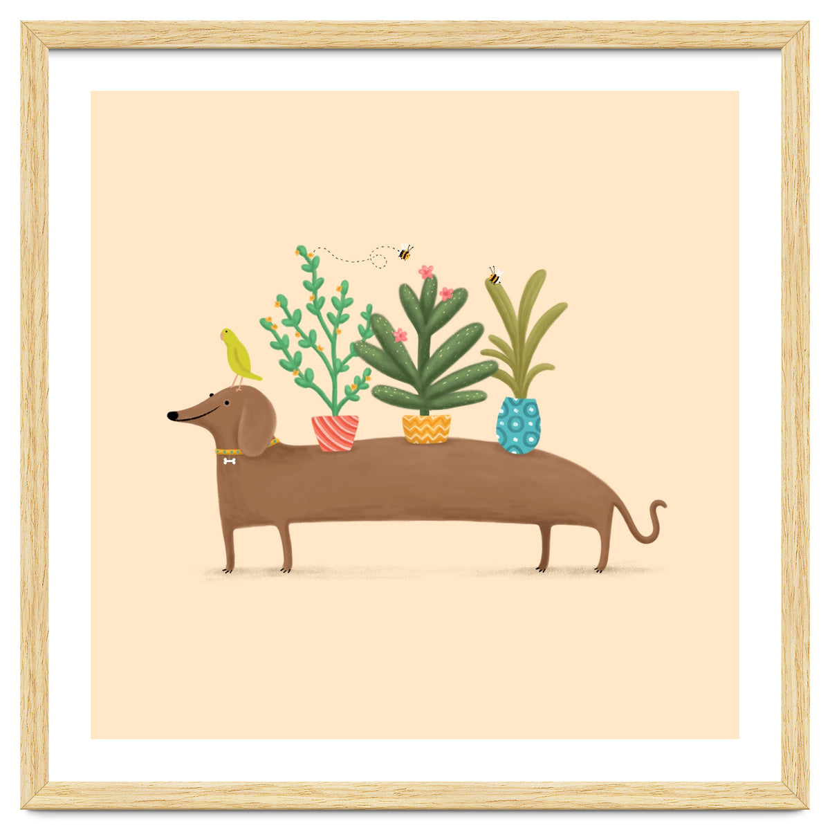 Dachshund And Parrot