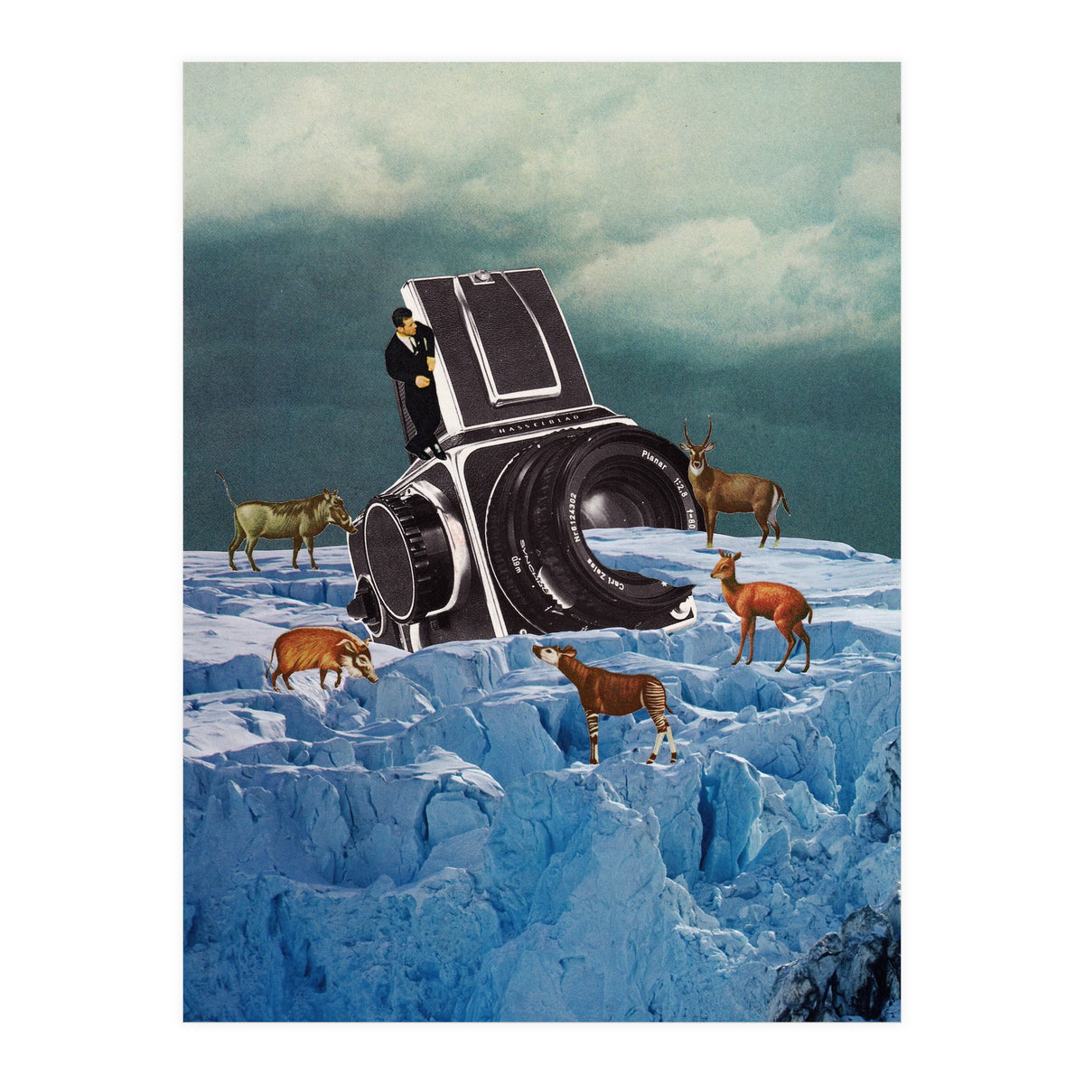 Cameraman (Print Only)