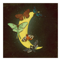 Moth moon (Print Only)