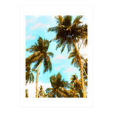 Cali Summer (Print Only) thumbnail