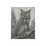 Winter Owl (Print Only) thumbnail