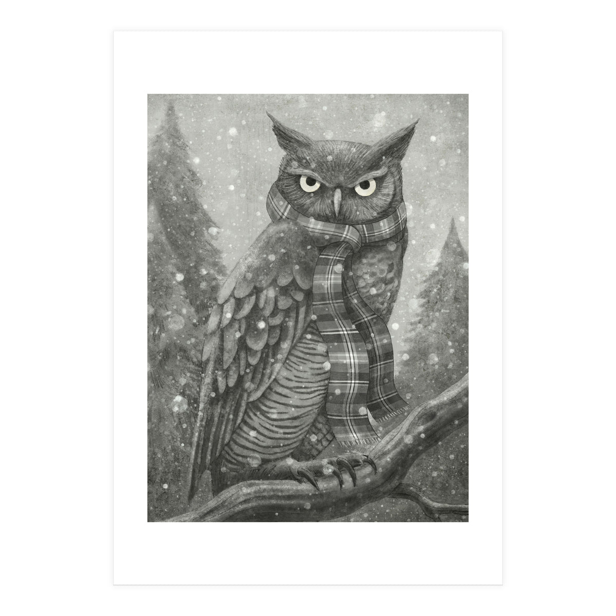 Winter Owl (Print Only)