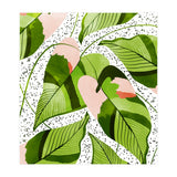 Blushing Leaves (Print Only) thumbnail
