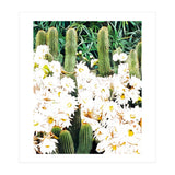 Cactus & Bloom (Print Only) thumbnail