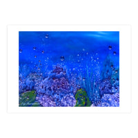 Coral Reef (Print Only)