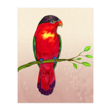 Purple-naped lory (Print Only) thumbnail