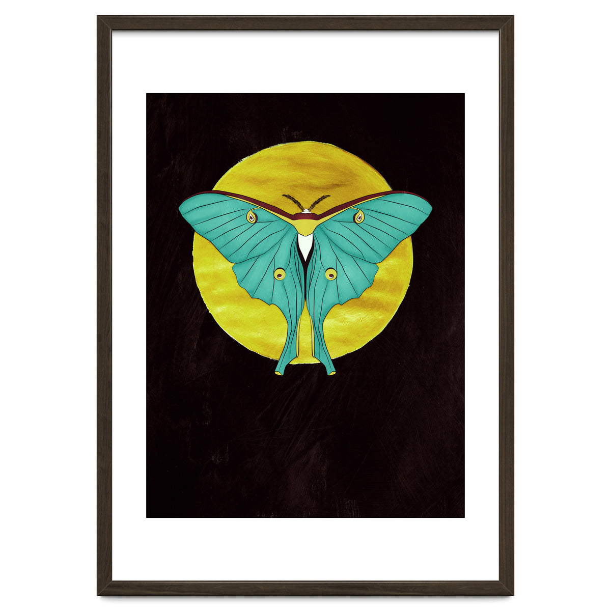 Luna Moth Moon