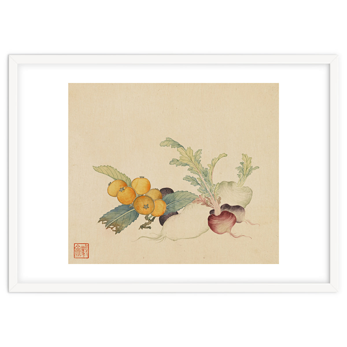 Wang Chengpi~flowers And Vegetables, Vegetables, Fruits, Loquat, White Radish, Carrot, Radish