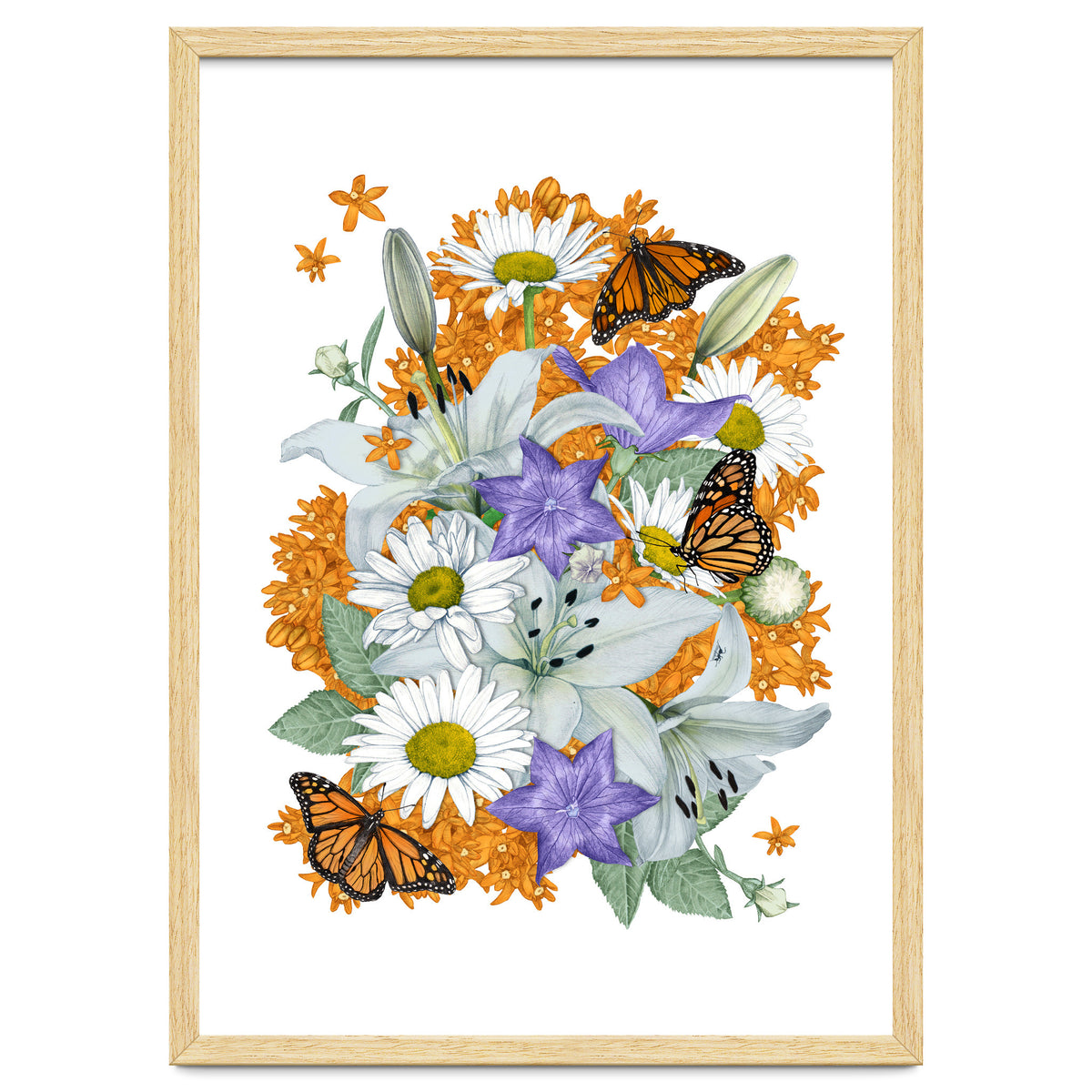 Lillies and Monarchs