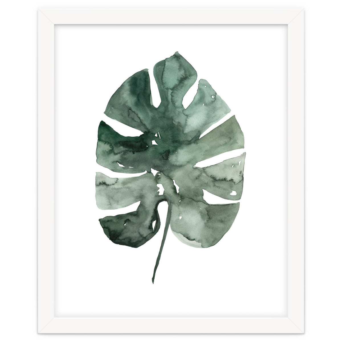 Botanical Illustration Monstera Leaf