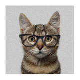 Cat Geek (Print Only) thumbnail