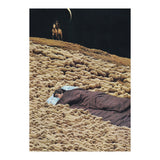 Counting Sheep (Print Only) thumbnail