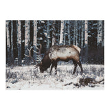 animal print (Print Only) thumbnail