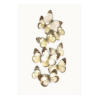 Cc Butterflies 01 (Print Only)