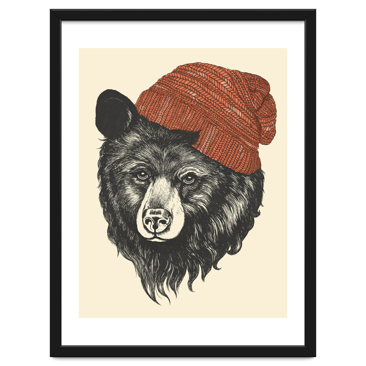Zissou The Bear