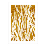 Desert Colours Collection 1 (Print Only) thumbnail