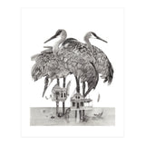 Crane Houses (Print Only) thumbnail