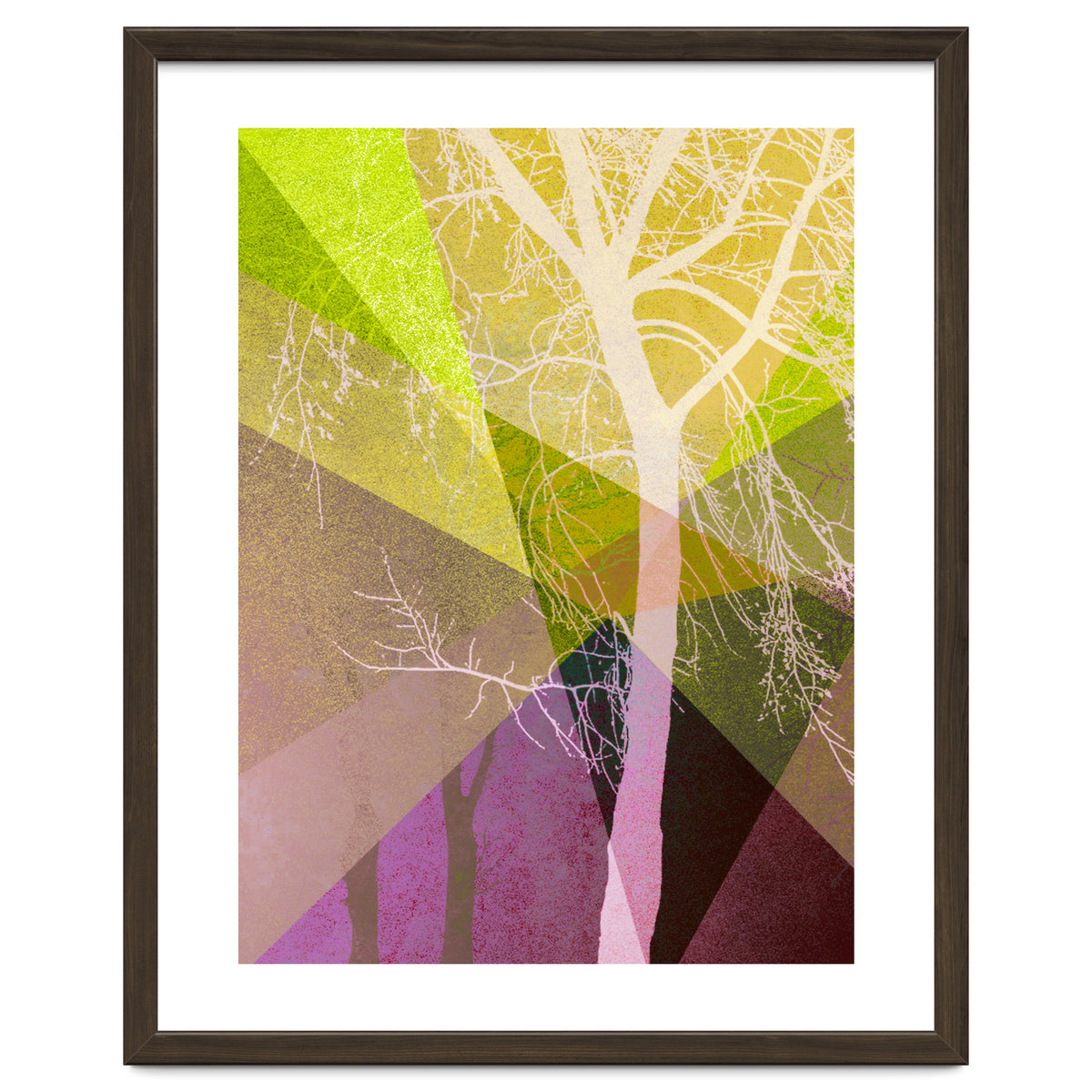 P22 A Trees And Triangles