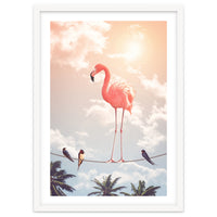 Flamingo & Friends