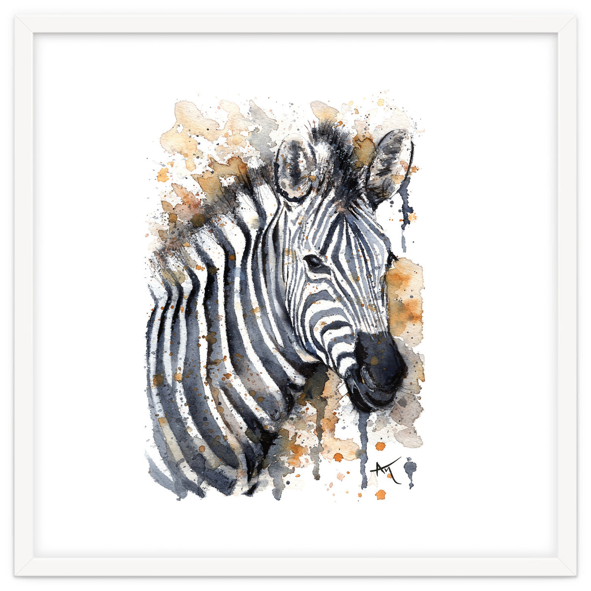 Zebra - Wildlife Collection