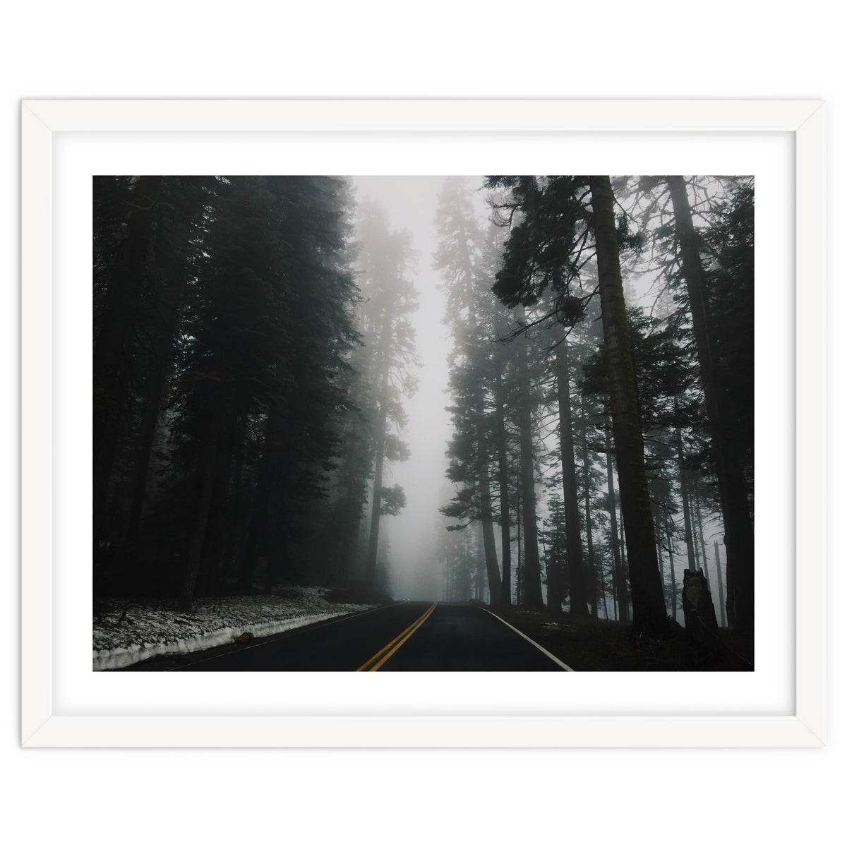 Foggy Yosemite