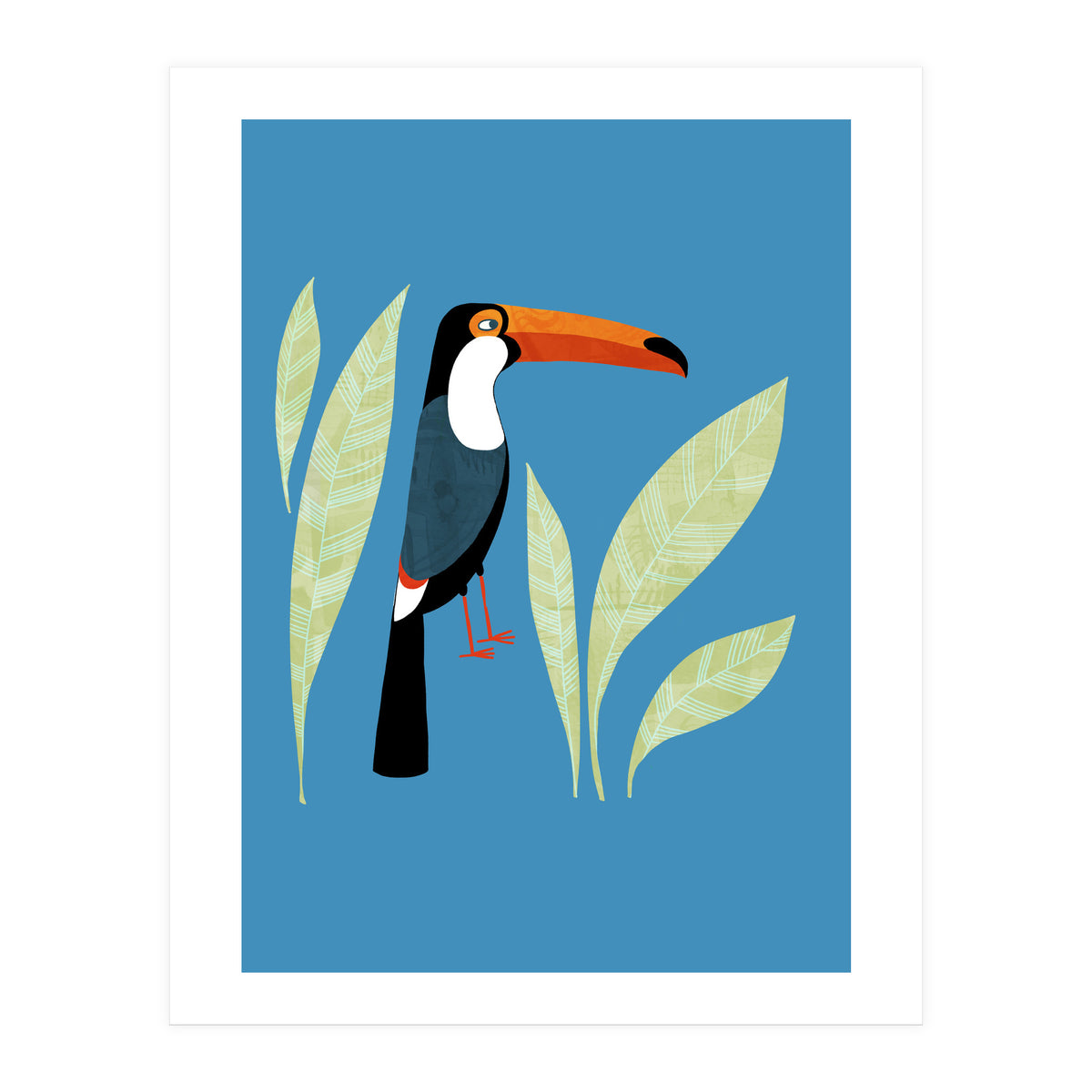 Toucan (Print Only)