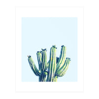 Cactus (Print Only)