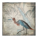 Egypt Heron (Print Only) thumbnail