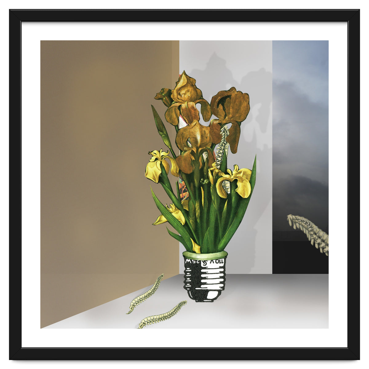 Das Licht Der Pflanze