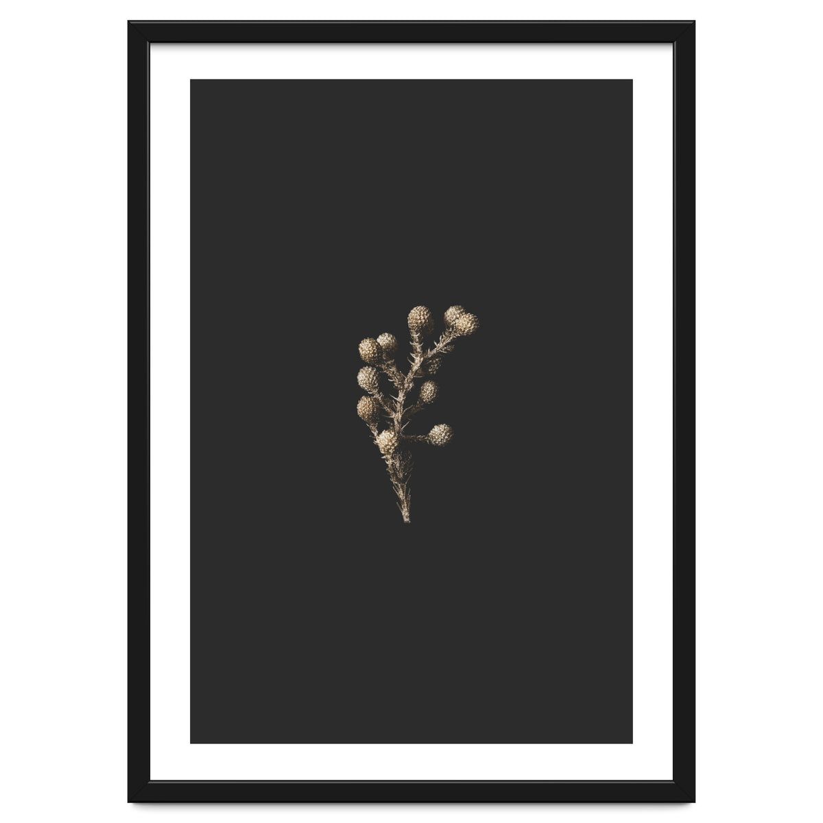 Gold Drops Botanicals