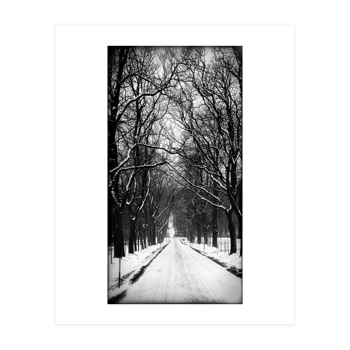 Winterly alley (Print Only)