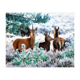 Unicorn Deer (Print Only) thumbnail