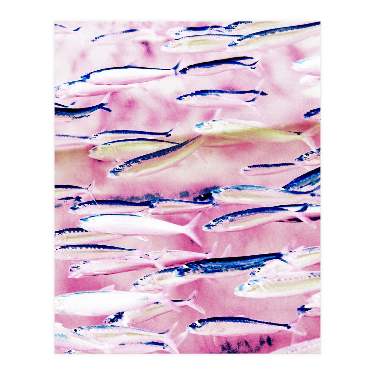 Marked Coast (Print Only)