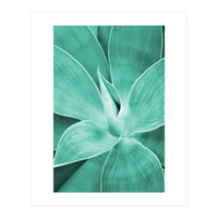 Agave (Print Only)