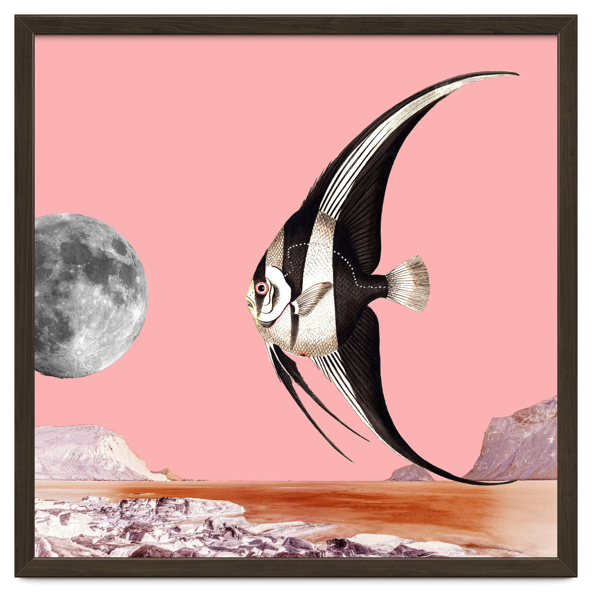 Plenty Of Fish In The Sea Pink