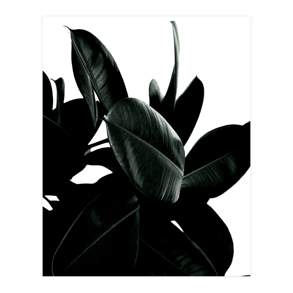 Dark Tree (Print Only)