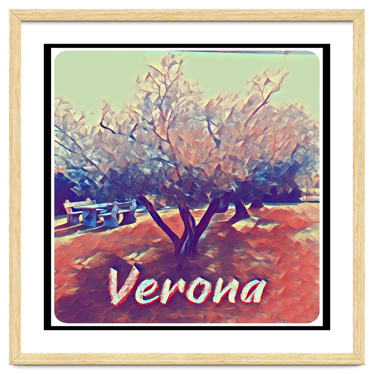 Olive Tree In Verona