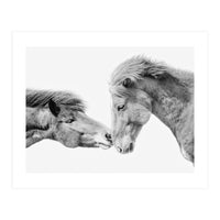 Horse Love in Iceland (Print Only)