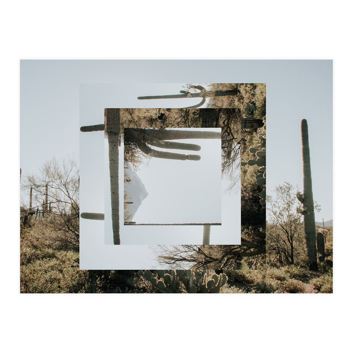 Quadratur 5 (Print Only)