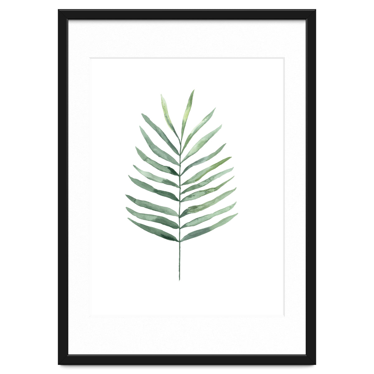 Botanical Illustration Fern