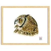 Lesser horned owl