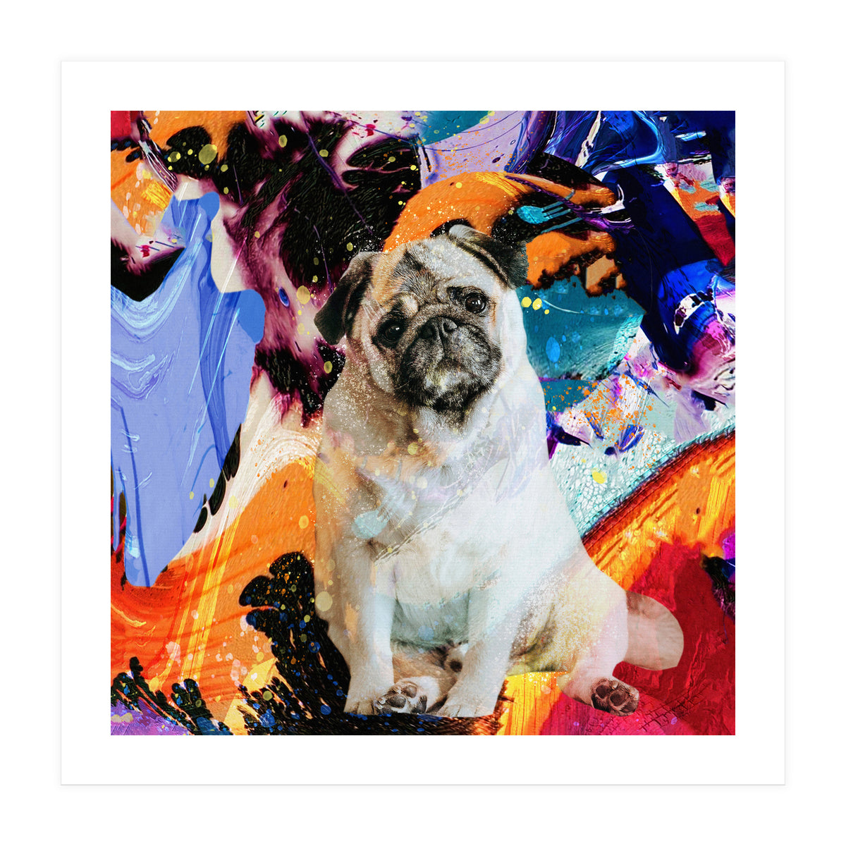 Zycko Color Dog 2 (Print Only)