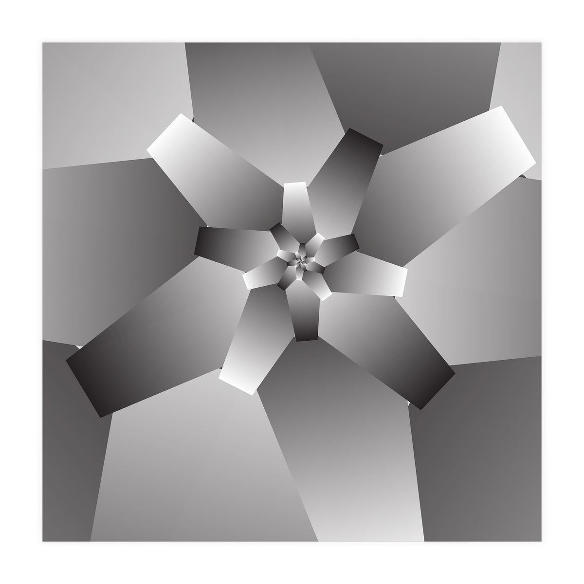 Monochrome Flower  (Print Only)