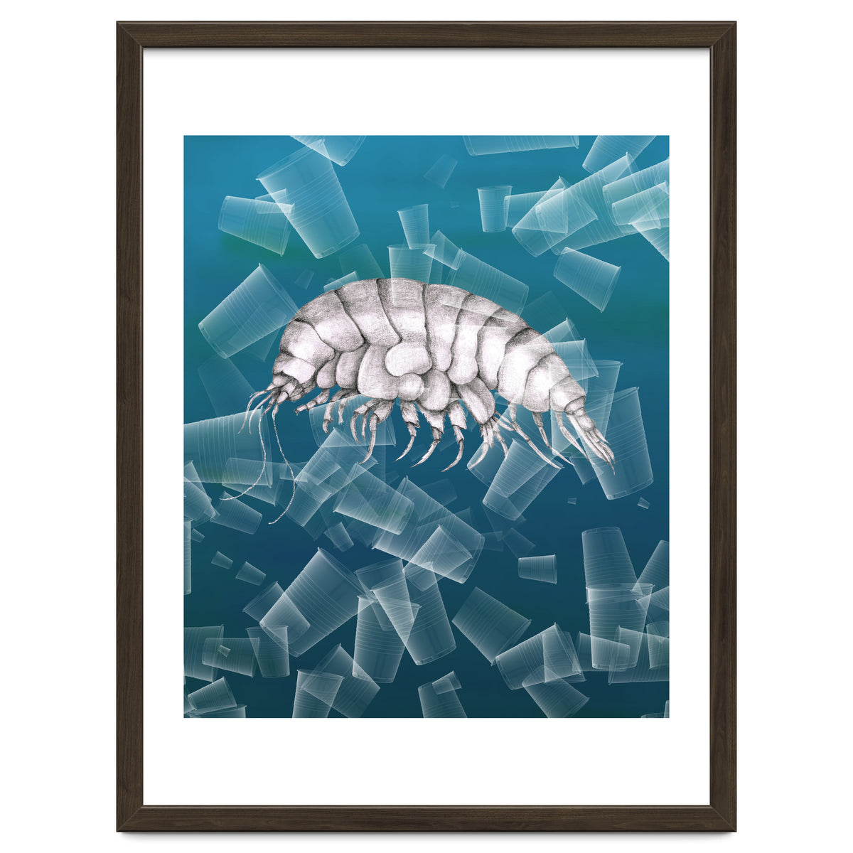 Eurythenes Plasticus