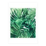 Tropical State of Mind | Watercolor Palm Banana Leaves Painting | Botanical Jungle Bohemian Plants (Print Only) thumbnail