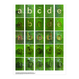 abcde (Print Only) thumbnail