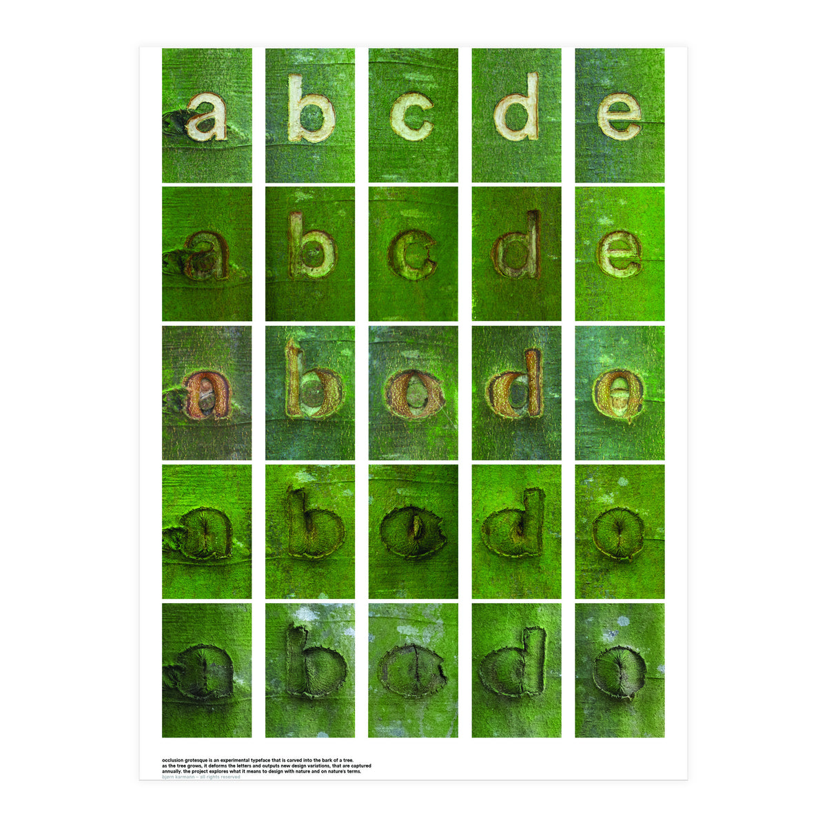 abcde (Print Only)