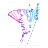 Swallowtail On Grass in Pinquoise (Print Only) thumbnail
