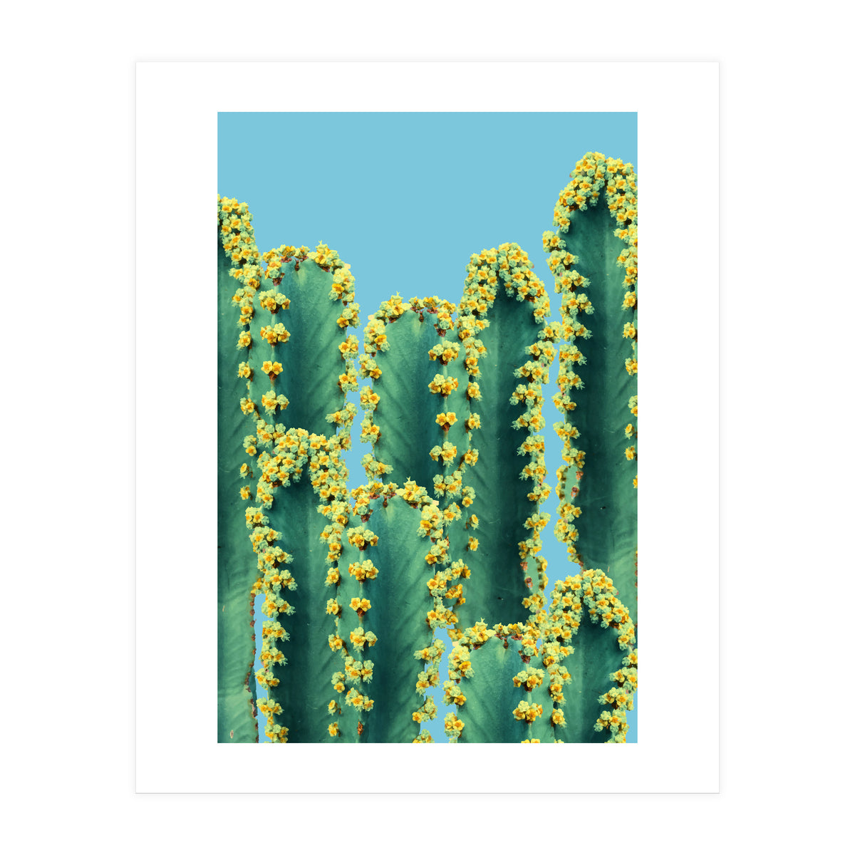 Adorned Cactus V2 (Print Only)