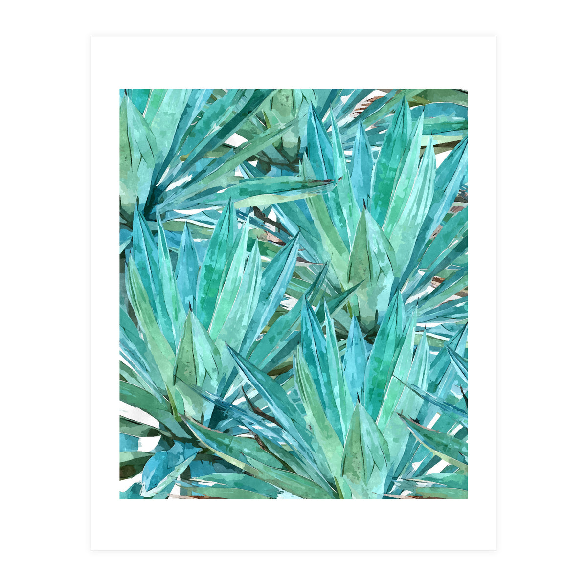 Agave  (Print Only)
